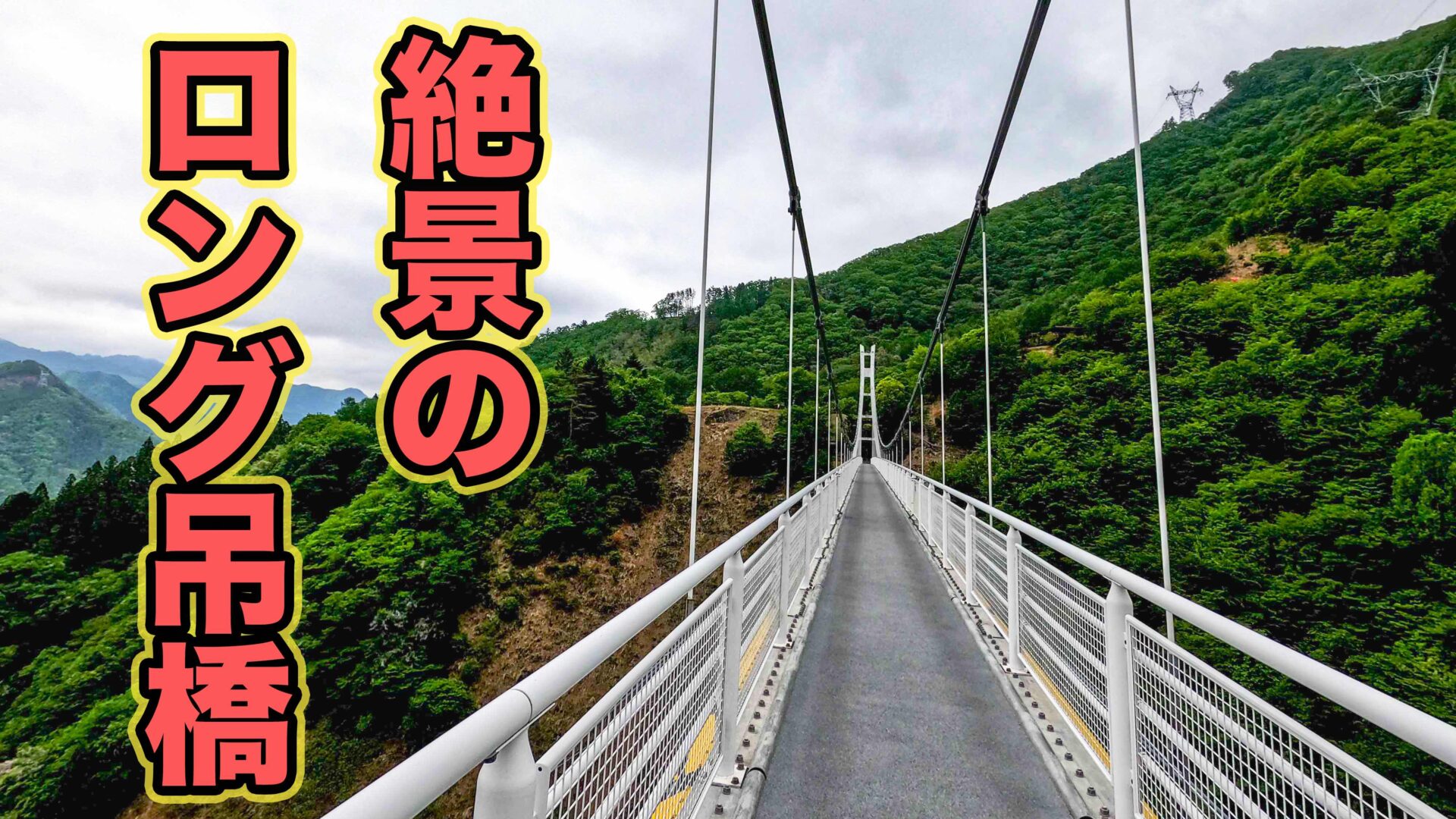 上野スカイブリッジの全体写真